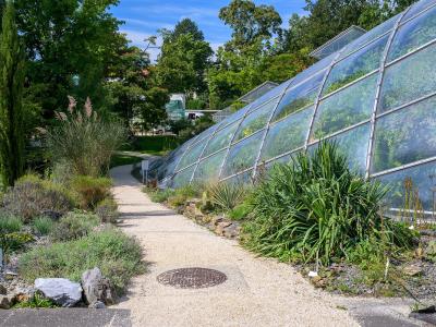 A gravel pathway runs alongside a large, modern greenhouse structure with a curved glass roof, surrounded by various plants including tall grasses and shrubs under a blue sky.