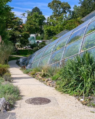 A gravel pathway runs alongside a large, modern greenhouse structure with a curved glass roof, surrounded by various plants including tall grasses and shrubs under a blue sky.
