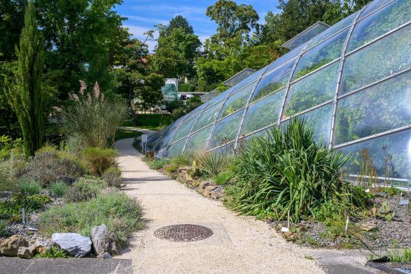 Botanischer Garten