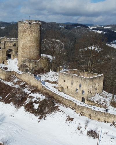 Burgruine Prandegg castle ruin with its round tower above Schonau im Muhlkreis