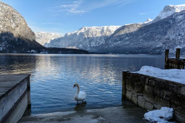 Lake Hallstatt