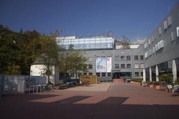Contemporary Art in Graz