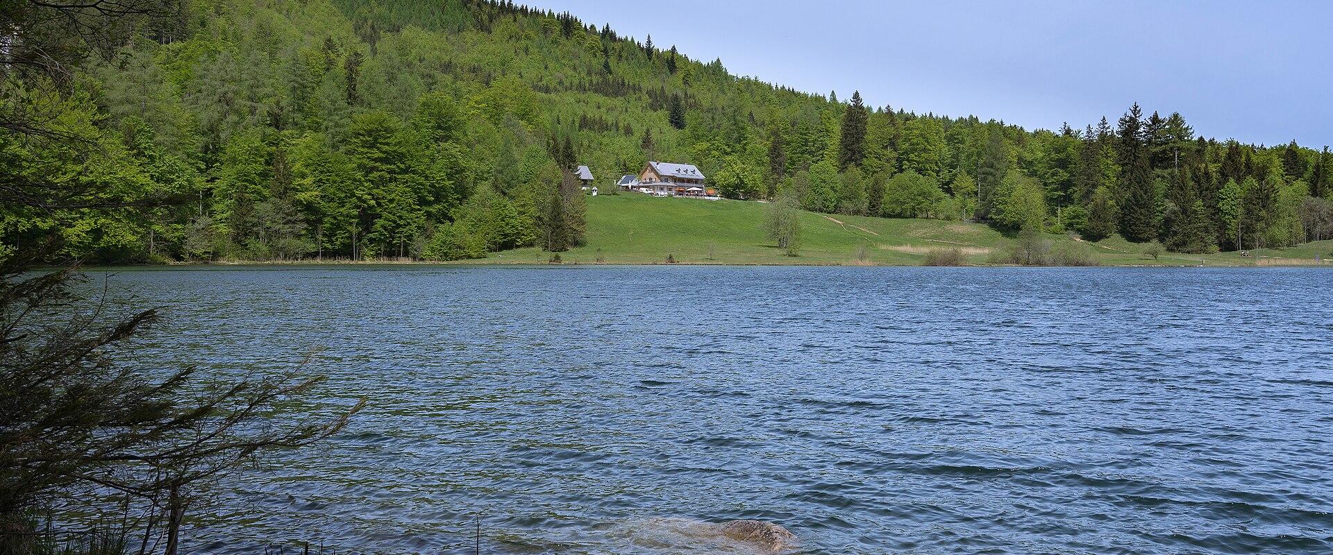 Local Alpine Pastures