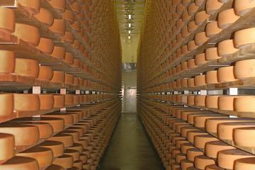 Cheese & Dairy