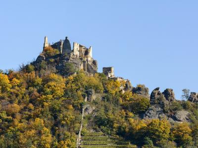 The ruins of Dürnstein Castle on a rocky, wooded hilltop above the Wachau