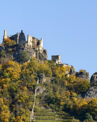 The ruins of Dürnstein Castle on a rocky, wooded hilltop above the Wachau