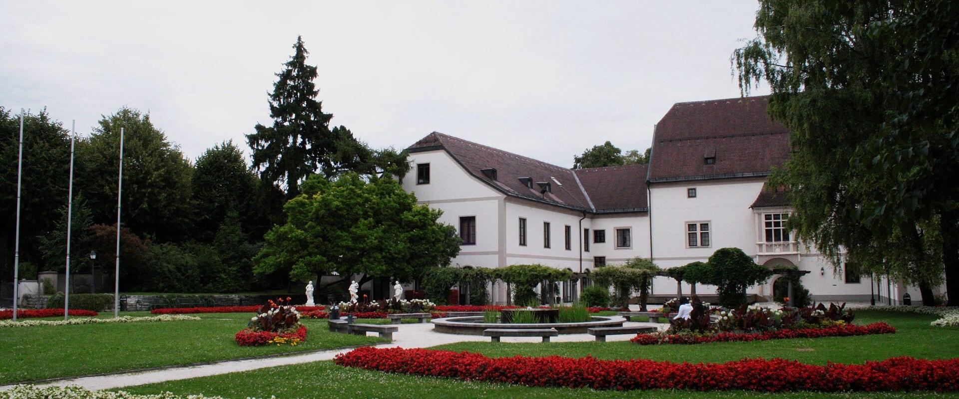Burg Wels