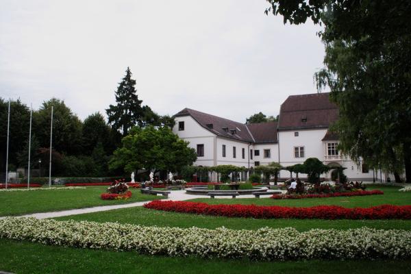 Burg Wels