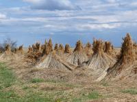 Burgenland