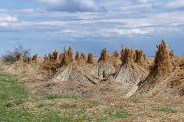 Burgenland