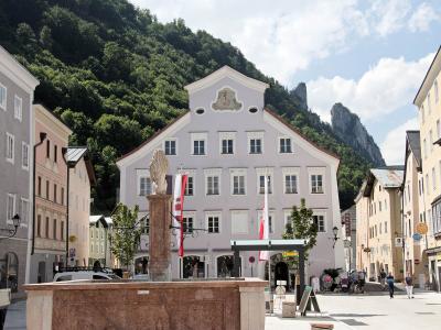 Hallein