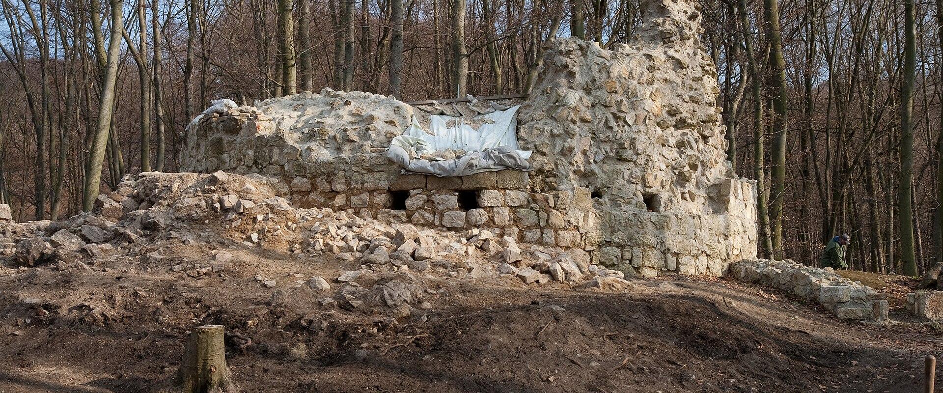 The image shows the stone ruins of a medieval tower or keep (Bergfried) partially covered with a white protective tarp, situated on a cleared earthen mound within a deciduous forest during late winter or early spring.