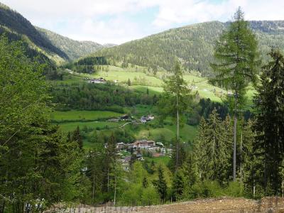 A view of a green alpine valley with scattered buildings and hotels, framed by forested slopes and tall coniferous trees in the foreground.