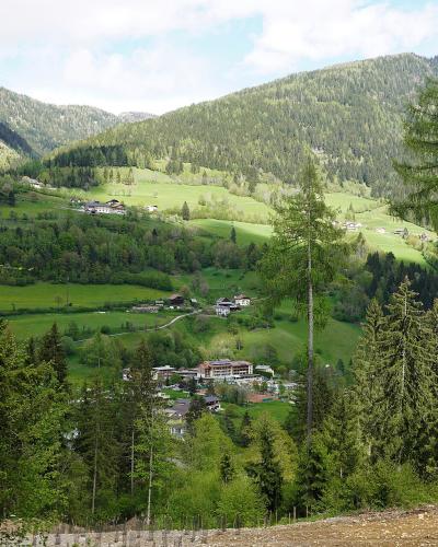 A view of a green alpine valley with scattered buildings and hotels, framed by forested slopes and tall coniferous trees in the foreground.