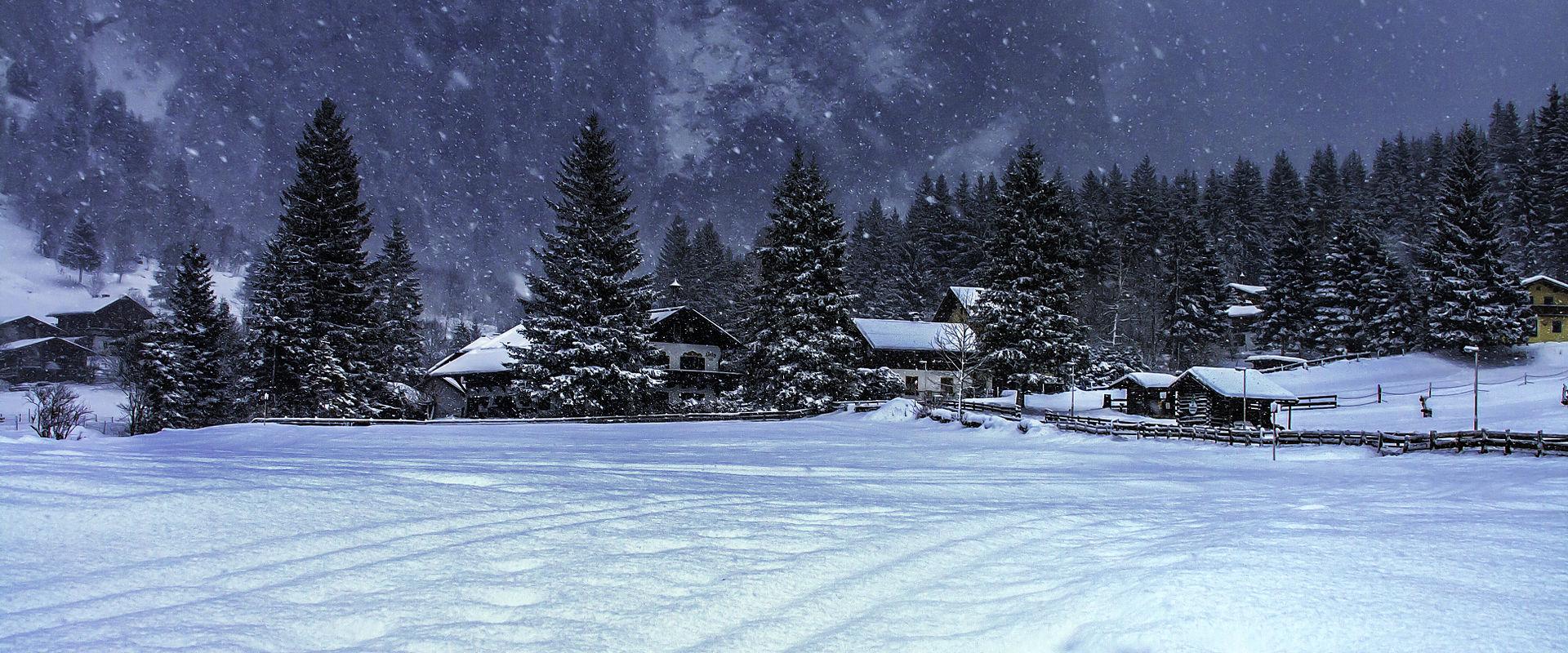 Winter Wonderland