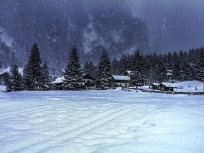 Winter Wonderland