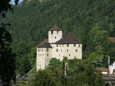 A white-walled medieval castle with a prominent tower and dark pitched roofs, situated on a hillside overlooking a town, framed by trees in the foreground.