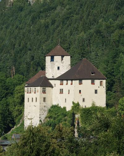 A white-walled medieval castle with a prominent tower and dark pitched roofs, situated on a hillside overlooking a town, framed by trees in the foreground.