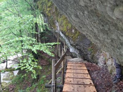 A wooden boardwalk path built along the base of a large, overhanging rock face in a forested gorge, with a stream visible to the left and a person's legs on the right.