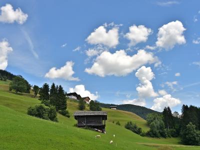 A grassy alpine slope with a wooden shed in the foreground, sheep grazing, and houses on the hillside under a blue sky with clouds.