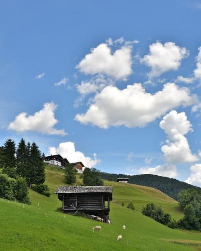 A grassy alpine slope with a wooden shed in the foreground, sheep grazing, and houses on the hillside under a blue sky with clouds.