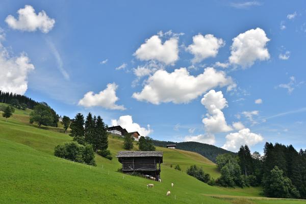 Local Alpine Pastures (Almen)