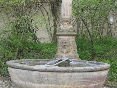 A stone fountain with a lion-head spout and a large basin, situated on a cobblestone surface with trees and a building facade in the background.