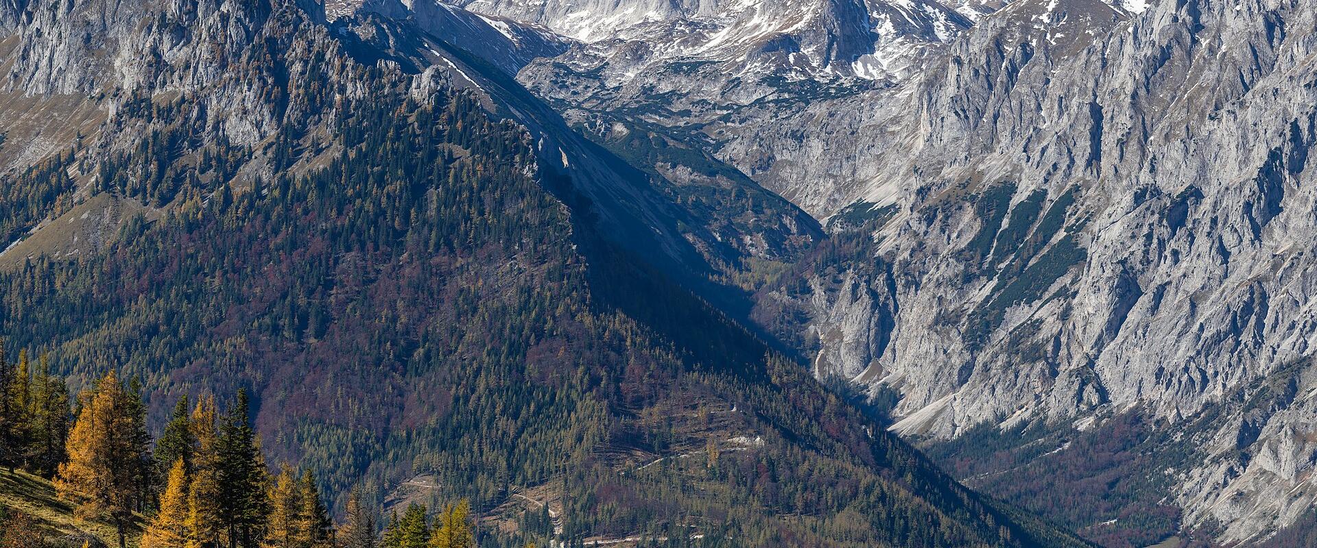 A mountain landscape with steep, rocky peaks in the background, forested slopes, and autumn-colored larch trees in the foreground under a clear blue sky; no visible signage or identifying text.