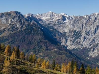 A mountain landscape with steep, rocky peaks in the background, forested slopes, and autumn-colored larch trees in the foreground under a clear blue sky; no visible signage or identifying text.