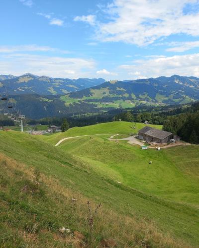 A view of a green alpine pasture with a large wooden barn, grazing cattle, and a chairlift line ascending the hillside against a backdrop of distant mountains.