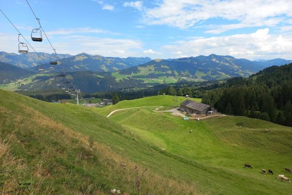 Alpenjause & Alpine Pastures
