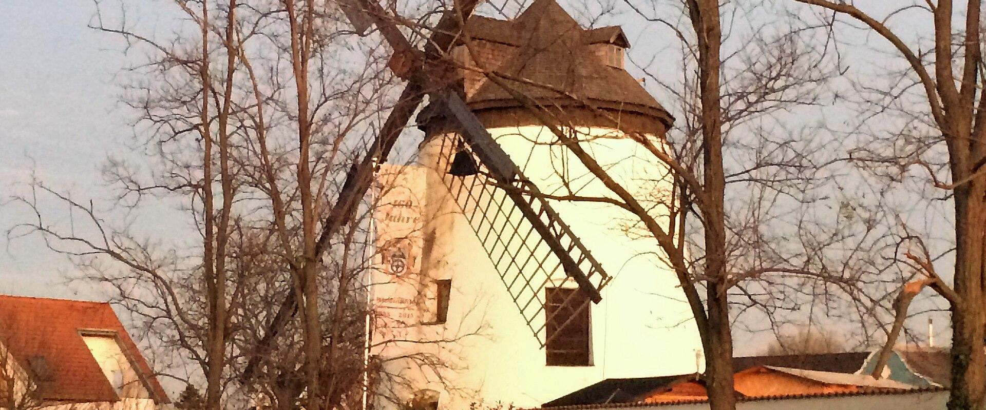 Windmill In Podersdorf Am See
