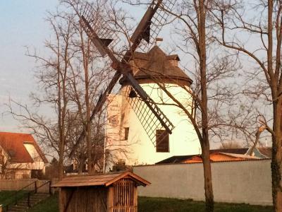 A white tower windmill with large wooden lattice sails stands among bare trees, with a small wooden shed in the foreground and a house with a red roof to the left.