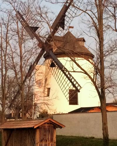 A white tower windmill with large wooden lattice sails stands among bare trees, with a small wooden shed in the foreground and a house with a red roof to the left.