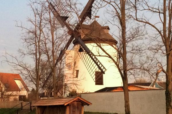Windmill In Podersdorf Am See
