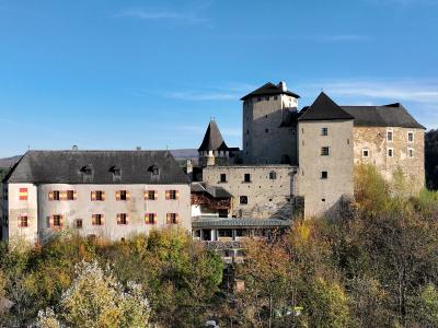 A large medieval castle complex with a prominent round tower, a rectangular keep, and a long wing featuring red and yellow shutters, set against a forested hillside under a blue sky.