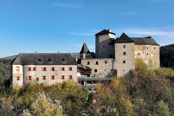 Lockenhaus Castle (Burg Lockenhaus)