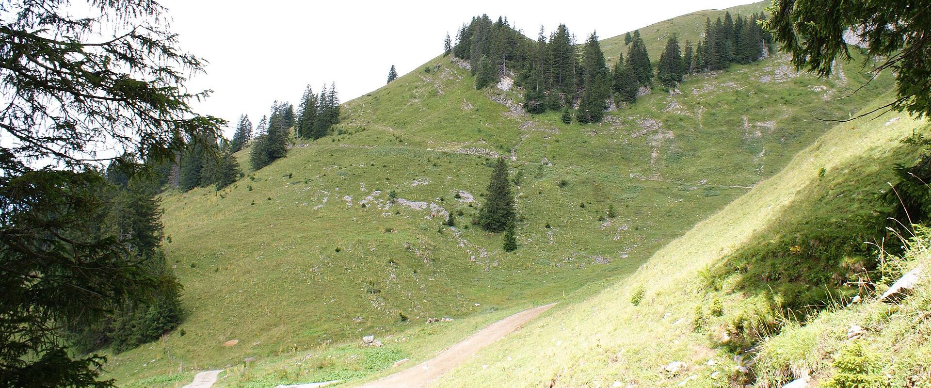 Hiking Trails in the Bregenz Forest