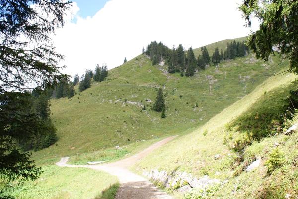 Hiking Trails in the Bregenz Forest