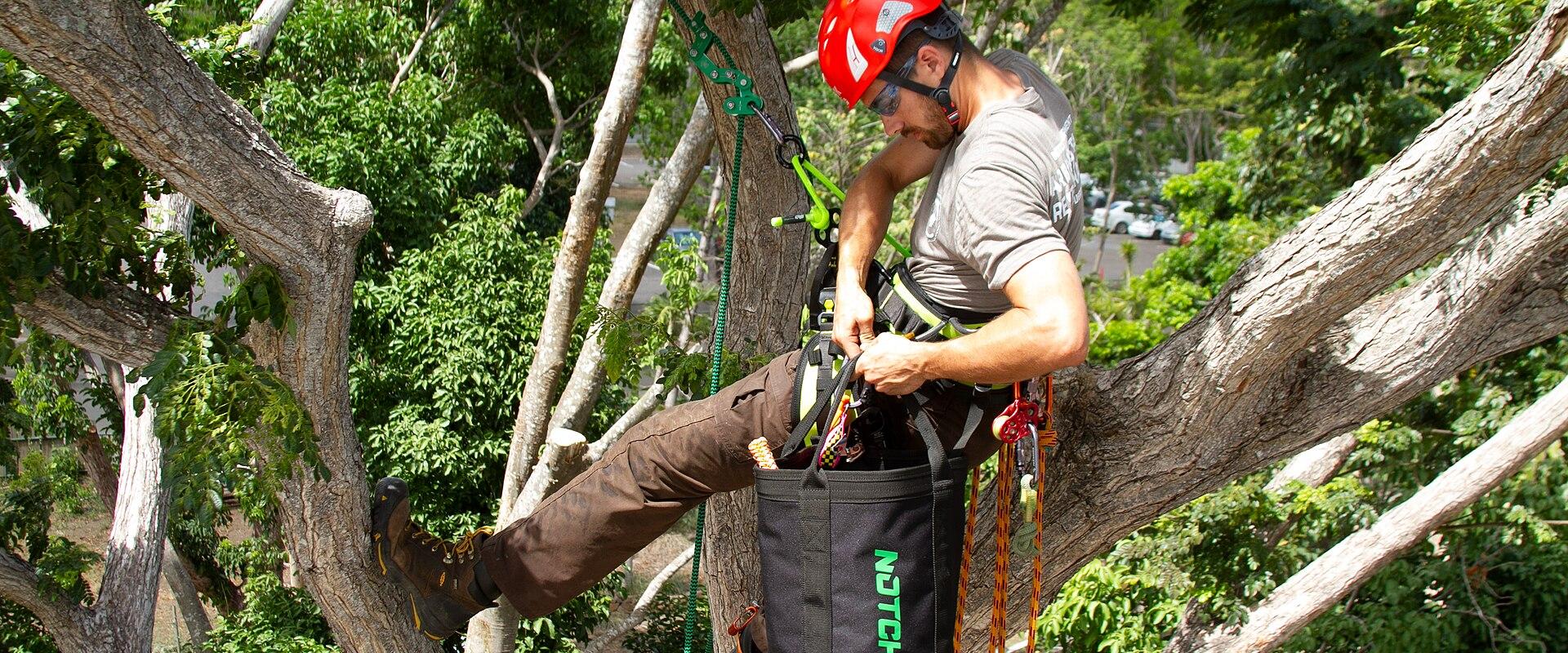 A man in a red helmet and climbing gear is suspended in a large tree, adjusting his harness with a black tool bag labeled "NOTCH" hanging from his waist.