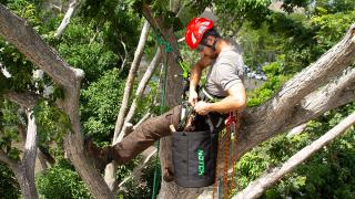 Adventure & Activities