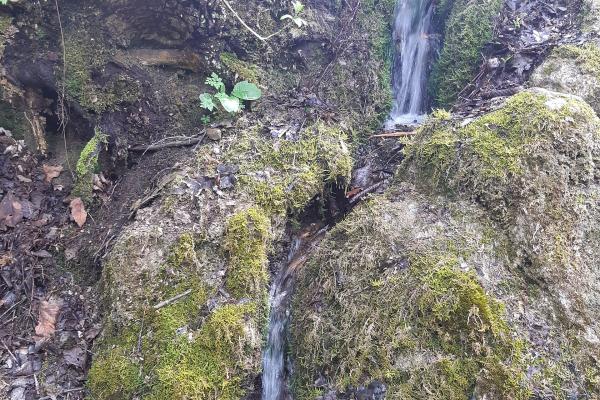 Hittisau Hiking And Skiing Trails
