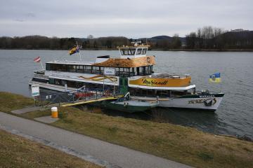 Boat Tours