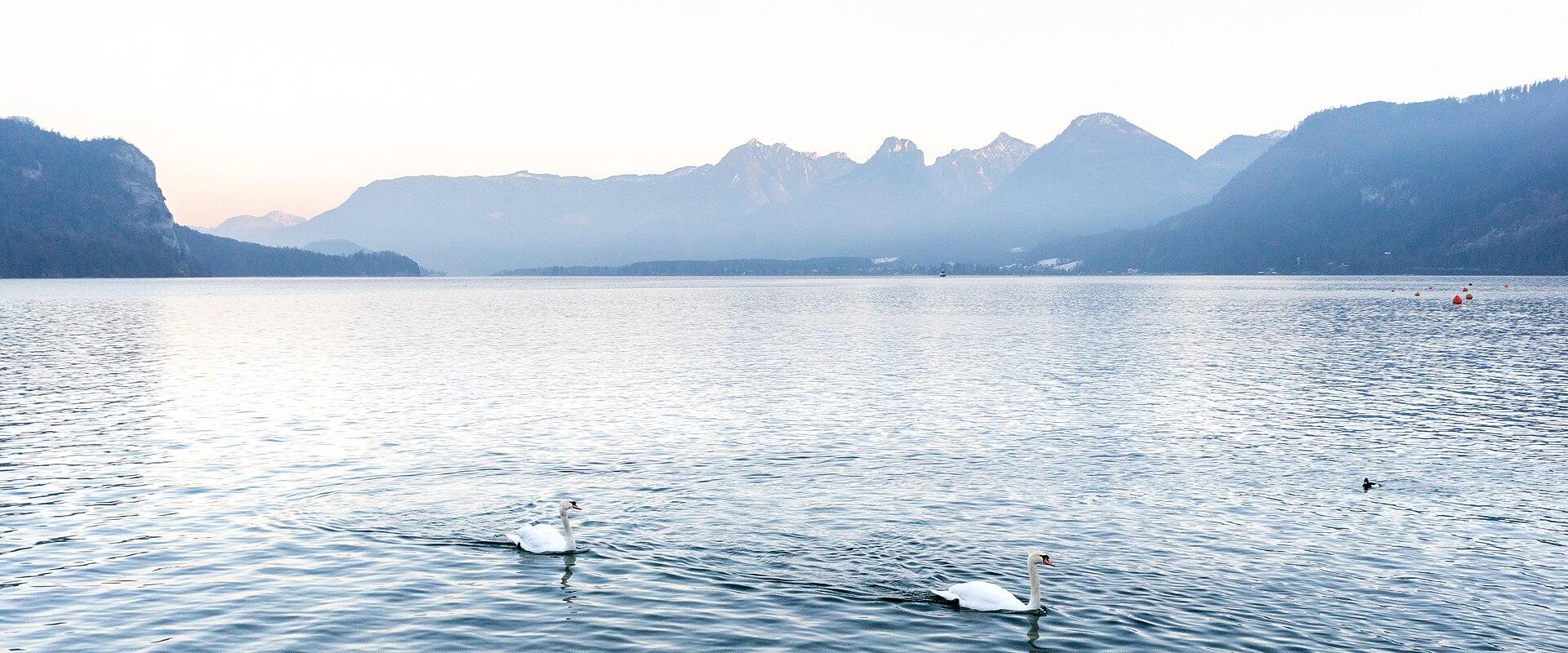 Lake Wolfgang (Wolfgangsee) Boat Tour