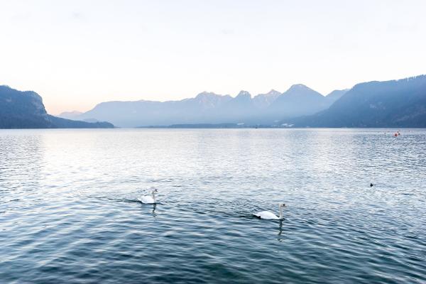 Lake Wolfgang (Wolfgangsee) Boat Tour